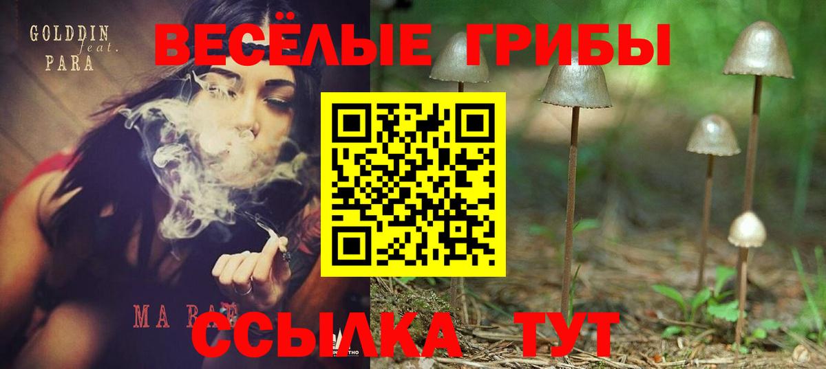 Галлюциногенные грибы Magic Shrooms Мелеуз